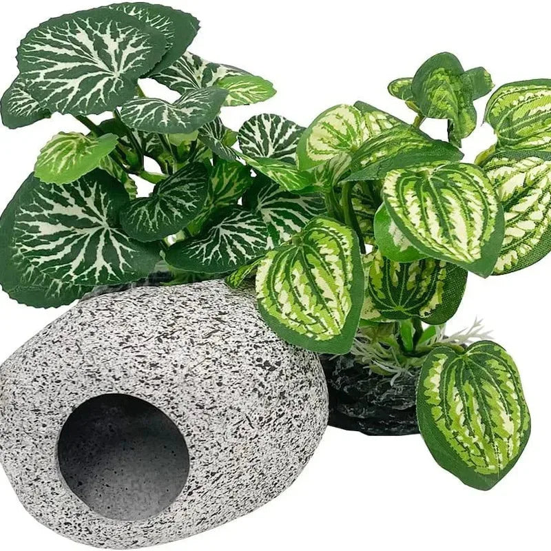 A potted plant featuring green and white patterned leaves displayed in a speckled stone pot.