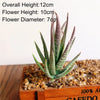 Artificial Succulent Bonsai Plant for Home Decor