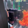 Leiser Biochemischer Schwammfilter für Aquarien