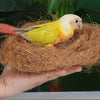 1 Pack Coconut Fiber Nesting Material for Birds