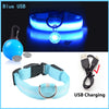 USB Charging Glowing Dog Collar with Pendant