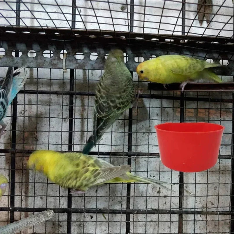Hanging Feeder Cups for Poultry with Hook