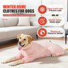 Goldener Labrador-Hund in rosa-weiß gestreiftem Fleece-Wintermantel auf einem Teppich drinnen.