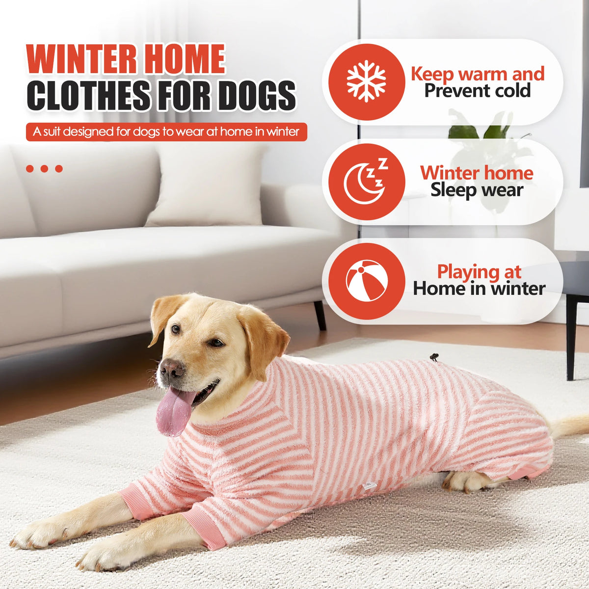 Goldener Labrador-Hund in rosa-weiß gestreiftem Fleece-Wintermantel auf einem Teppich drinnen.