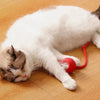 Cat Interactive Ball Toy for Kitten