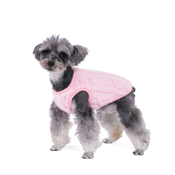 Ein kleiner, flauschiger grauer Hund mit einem rosa Fleece-Haustierpullover.