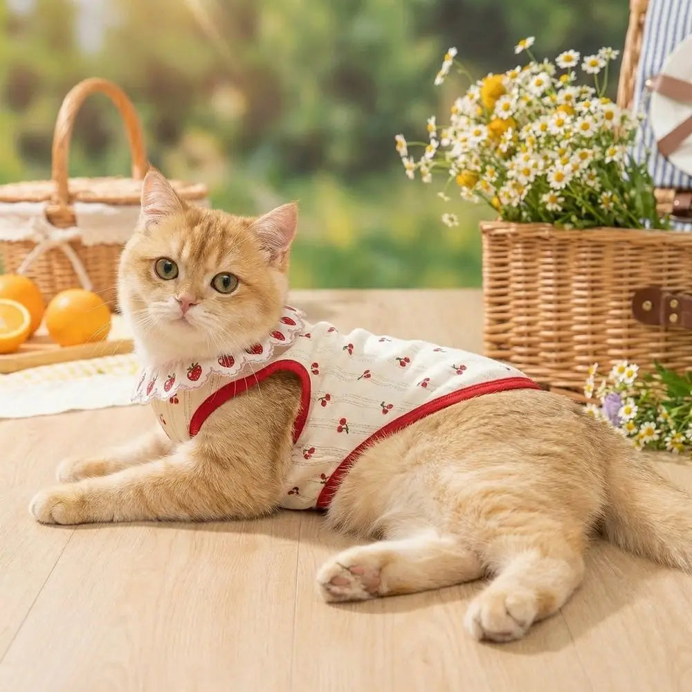 Ruffled Collar Cat Strawberry Vest with Cherry Pattern