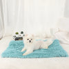 A fluffy white dog lies on a turquoise blanket in a bright room.