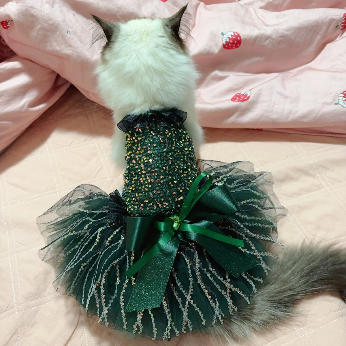 Sequin Princess Dress with Crystal Bow for Small & Medium Dogs