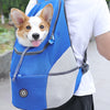 Sac à dos transporteur pour petits chiens