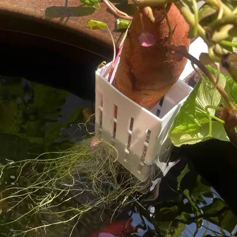 Wall-Mounted Aquarium Plant Basket with Hanging Hook