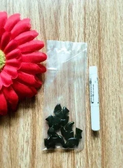 Colorful Soft Silicone Nail Caps for Cats and Dogs with Adhesive
