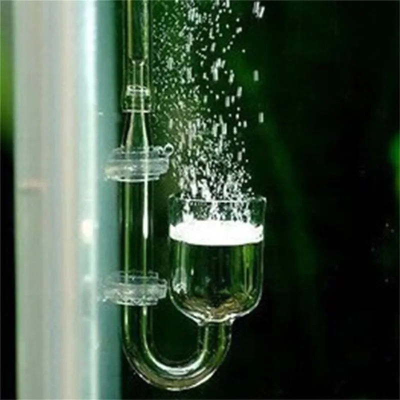 Tube en verre diffusant une fine brume dans un récipient en verre, kit diffuseur CO2 pour aquarium.