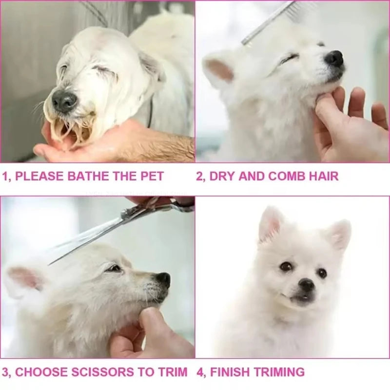 A four-step guide showing how to bathe, dry, comb, and finish trim a white dog using grooming scissors.