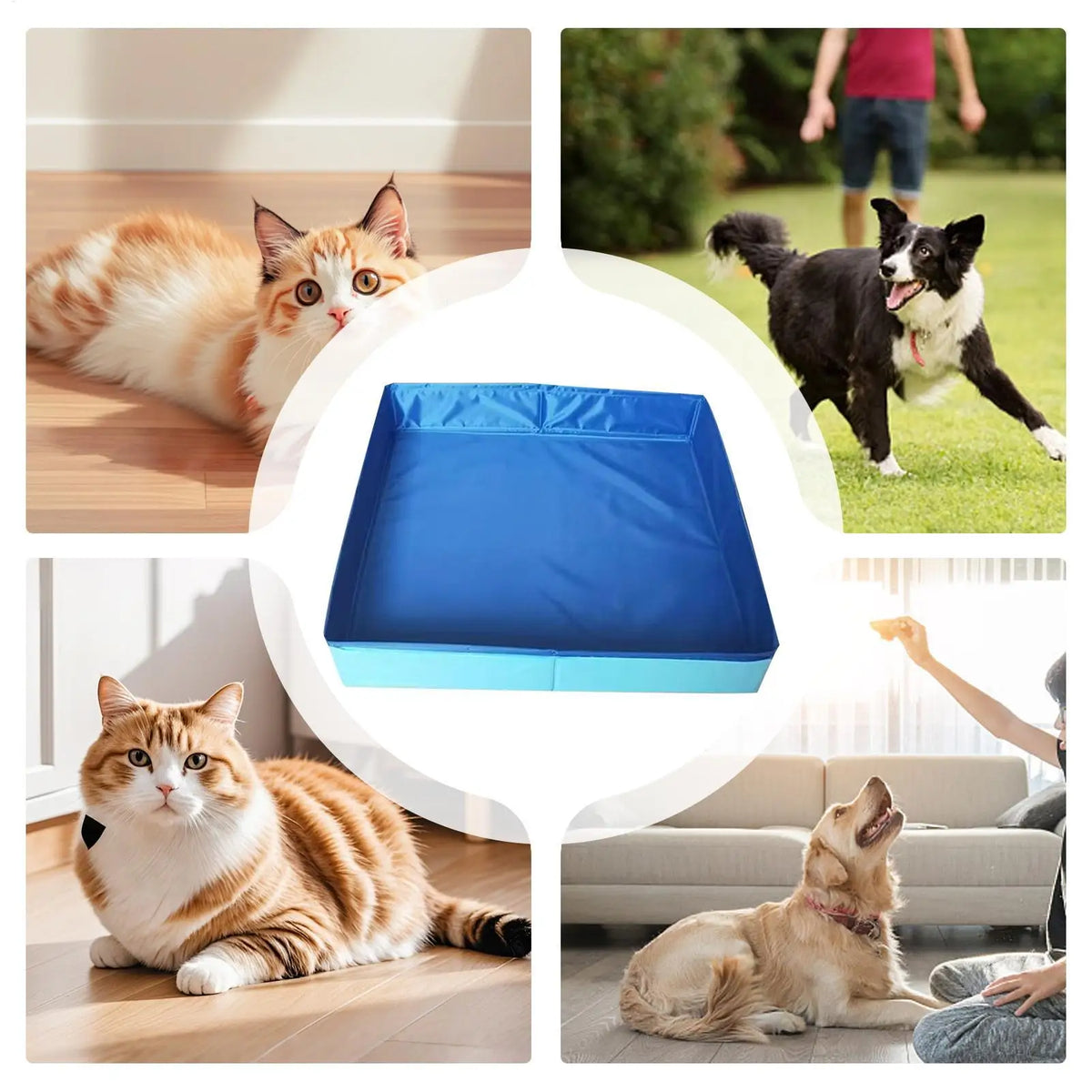Foldable Dog Wading Pool for Small Pets with Non-Slip Base