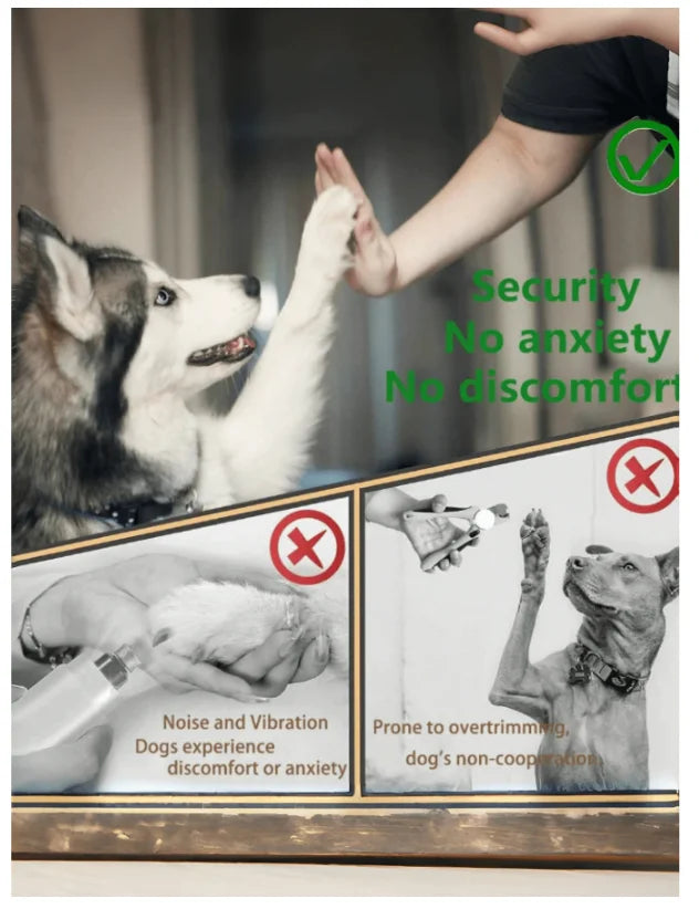 A dog is gently touching a person's hand, illustrating the security and comfort of the wooden-handle dog nail file.