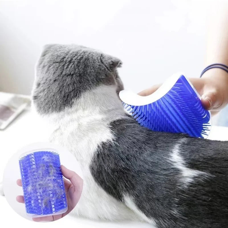 A person is using a blue silicone massage brush on the back of a cat.
