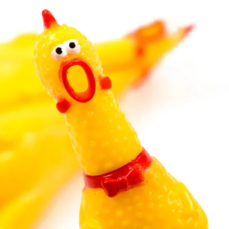 A bright yellow rubber chicken toy with a red collar and an open beak.