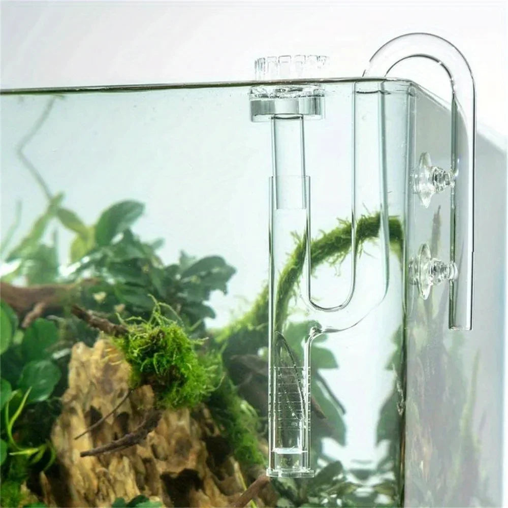 Klares Glaslilienrohr für Aquariumwasserfluss mit sichtbarer Klemme in einem Glasbehälter.