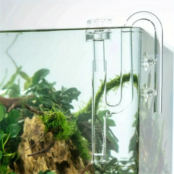 Clear glass lily pipe for aquarium water flow with a clamp visible inside a glass container.