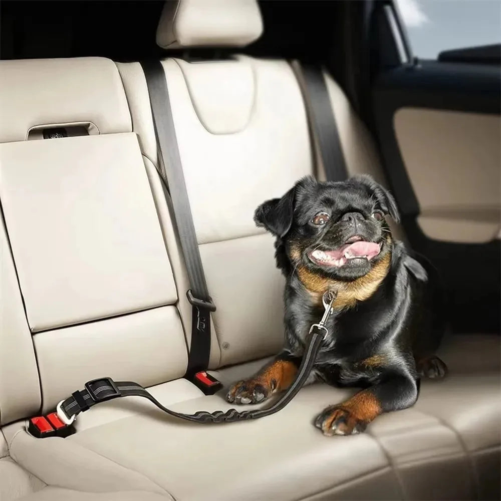 Reflective Adjustable Dog Car Seat Belt with Bungee Harness