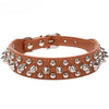 Punk Rivet Spiked Leather Dog Collar