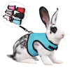 Un lapin blanc portant un harnais et une laisse bleus, avec divers accessoires de harnais colorés montrés dans un cercle insé