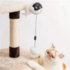 Lifting Ball Electric Cat Toy with Rotating Ball