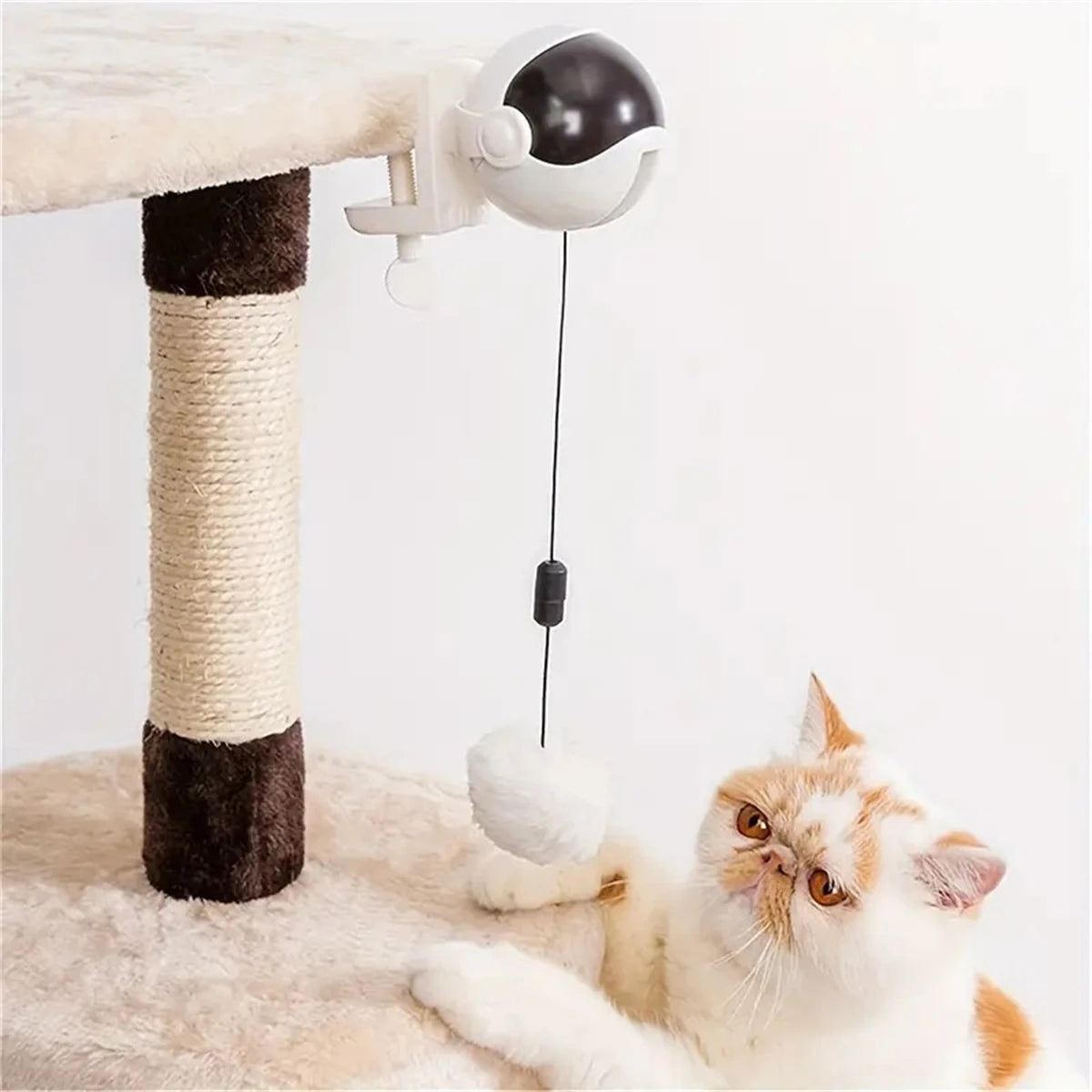 Un chat orange et blanc duveteux interagit avec un jouet de levage interactif à balle tournante.