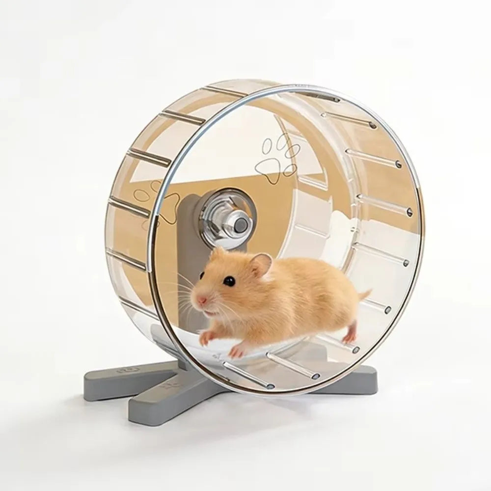 A small orange hamster is running on a transparent exercise wheel.