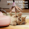 A kitten is playing with an interactive cat toy wand featuring feathers and a bell.