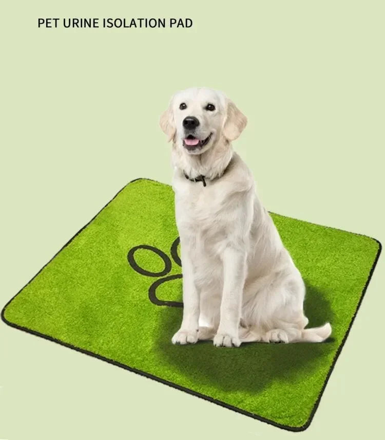 A white dog is sitting on a green pet urine isolation pad mat.