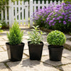 Mini Square Plastic Plant Pots with Drainage Holes for Seed Starting