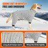 Ein goldener Retriever mit gestreiftem Fleece-Wintermantel im Schnee.