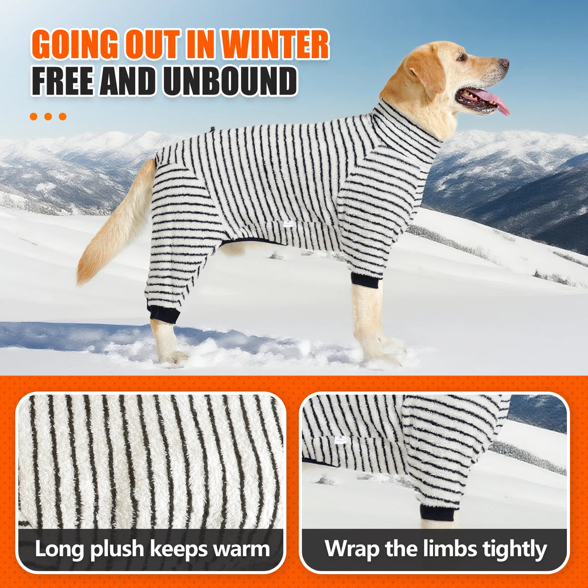 Ein goldener Retriever mit gestreiftem Fleece-Wintermantel im Schnee.