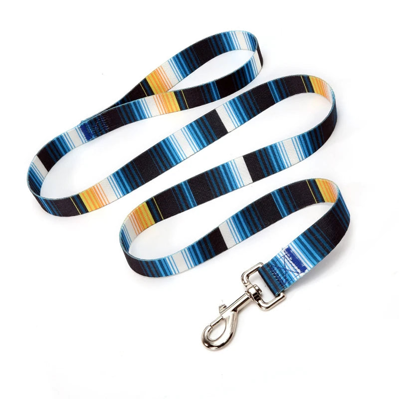 A striped dog leash featuring blue, white, and yellow patterns with a metal D-ring.