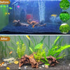Natural Sinkable Driftwood for Aquarium and Reptile Habitats