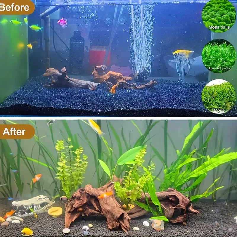 Natural Sinkable Driftwood for Aquarium and Reptile Habitats