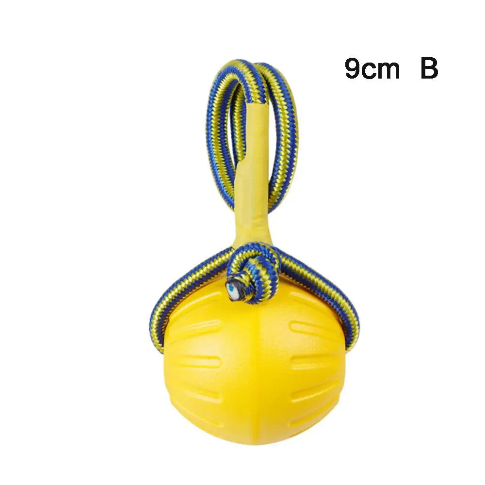 Durable Rubber Fetch Ball for Dogs and Cats