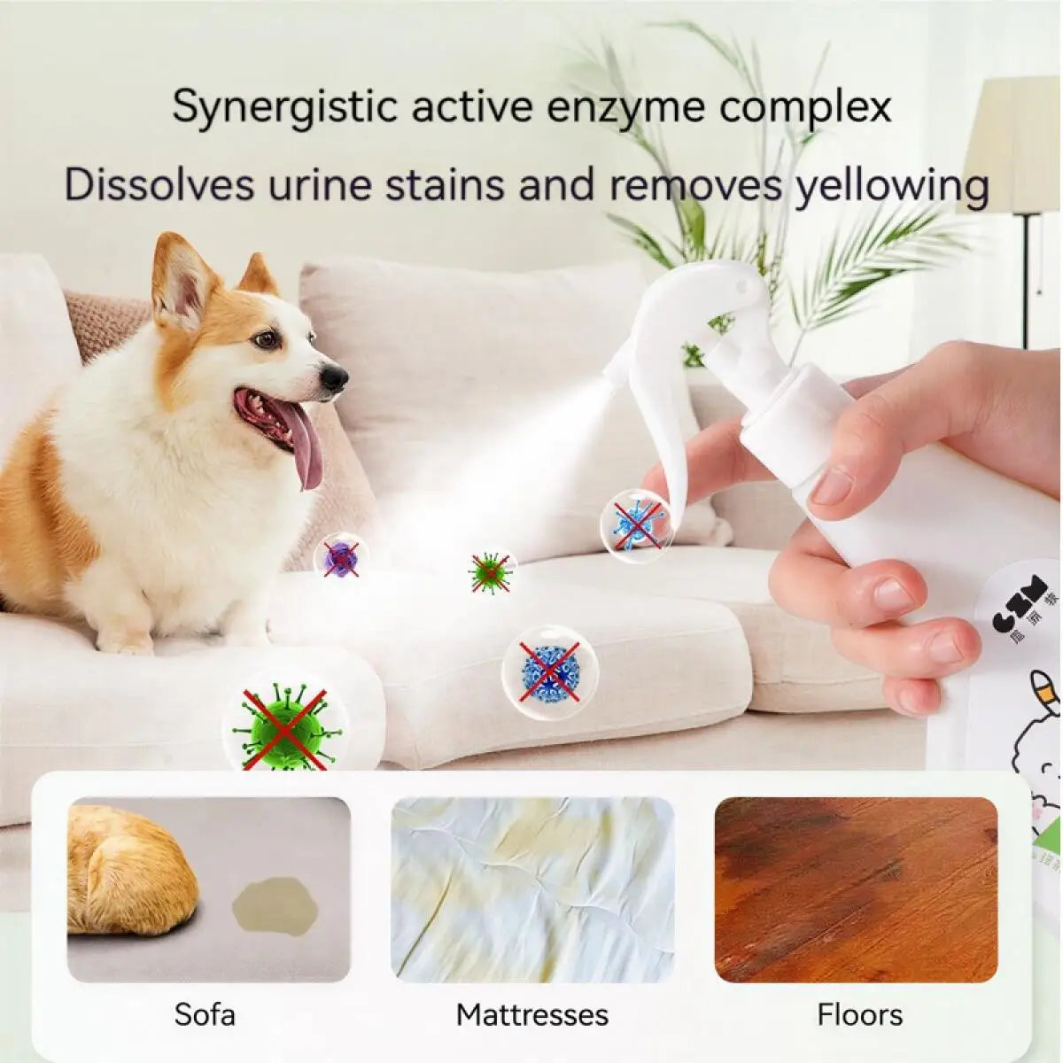 Enzyme Pet Odor Eliminator Spray – Urine & Stain Remover with Antibacterial Action