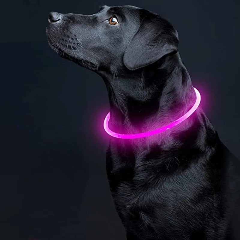 Rechargeable LED Dog Collar with USB Charging