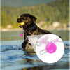 LED-Hundehalsband-Anhänger für Nachtsicherheit