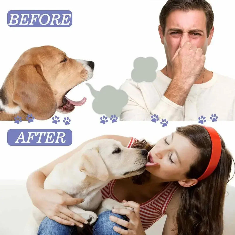 Spray de nettoyage buccal pour chiens et chats