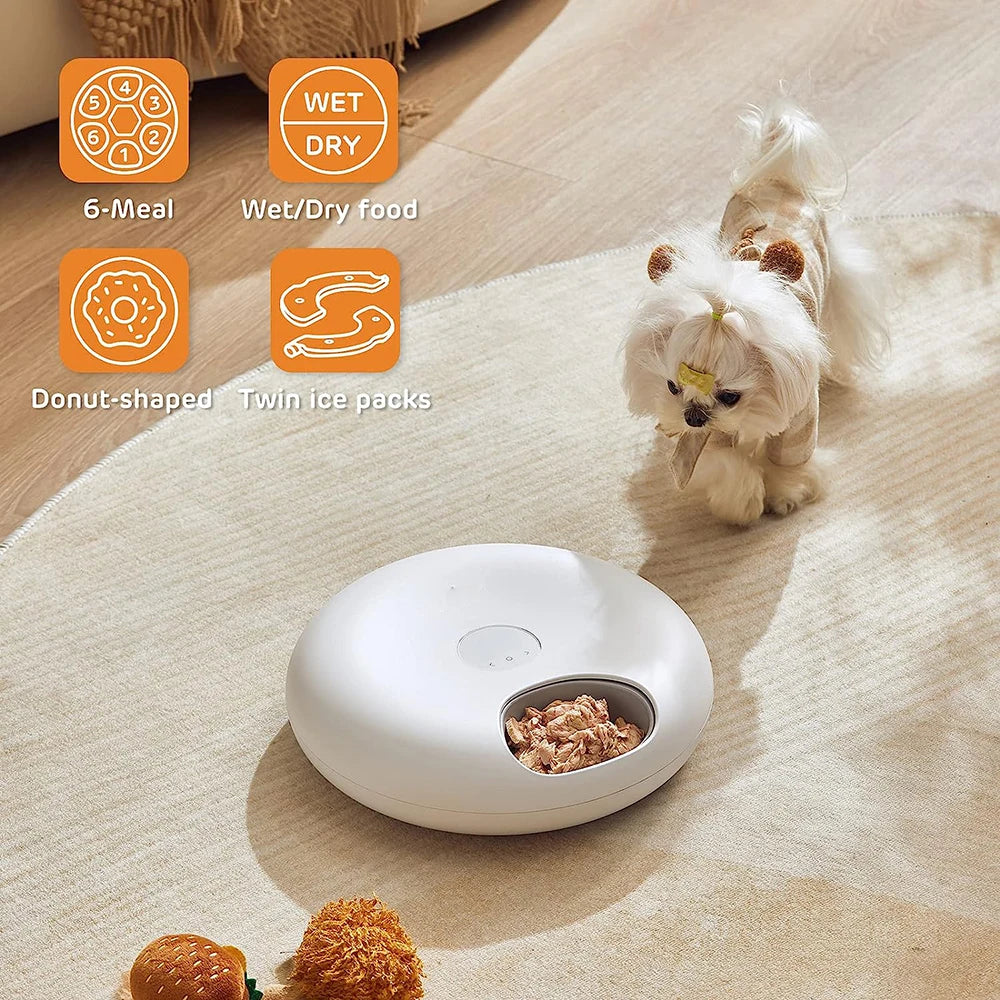Weißer automatischer Nassfutterspender für Haustiere auf einem hellen Teppich mit Futter und Eispacken.