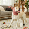 Ein weißer Hund steht auf einem Teppich mit einer rosa beruhigenden Ohrenschutz und einem Seilspielzeug.