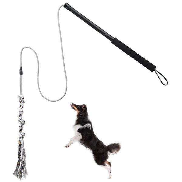 A black and white dog is pulling a durable interactive flirt pole with a long cord.