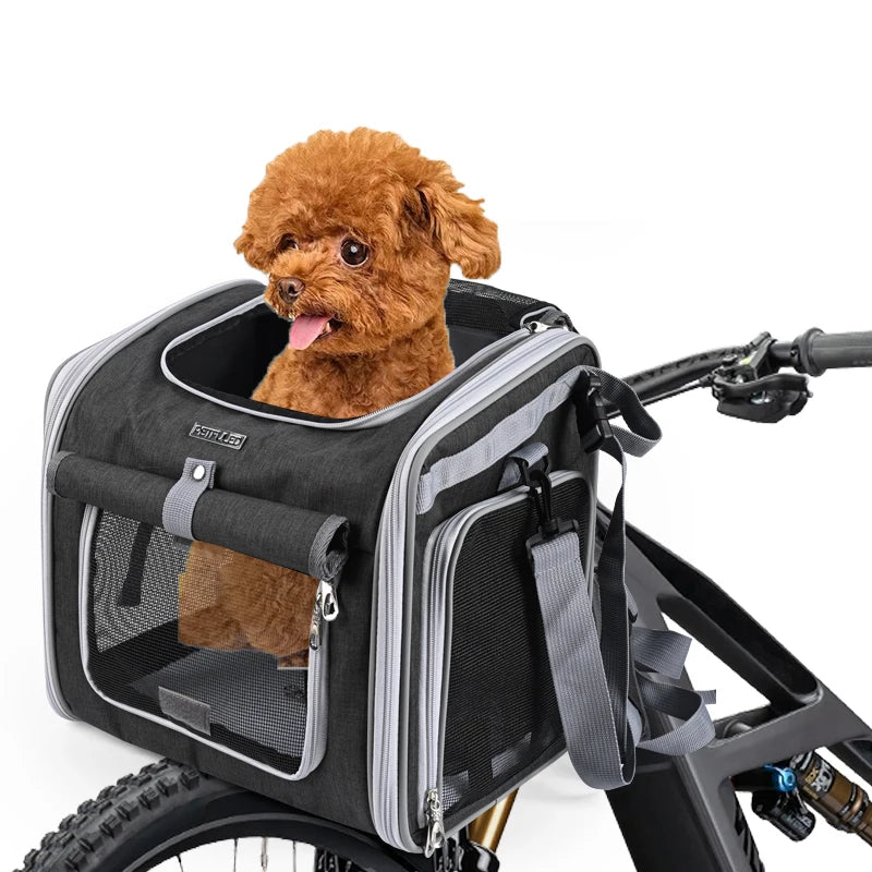 Un chien brun est assis dans un panier de vélo pour animaux noir et un sac à dos de voyage.