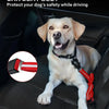 A light-colored dog is wearing a red bungee leash with dual handles inside a car, demonstrating a car seat belt safety featur