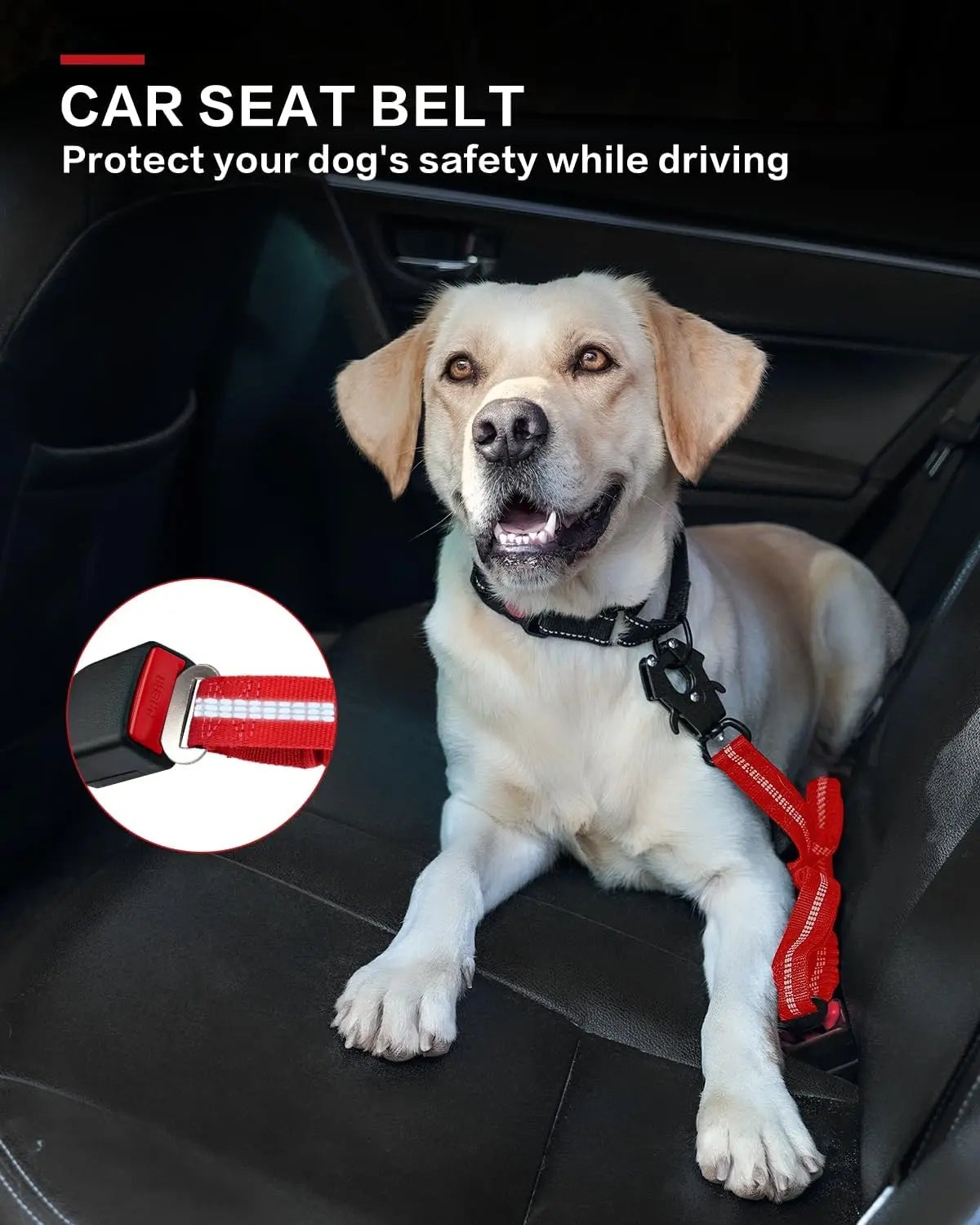 A light-colored dog is wearing a red bungee leash with dual handles inside a car, demonstrating a car seat belt safety featur