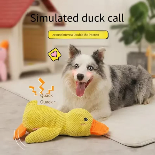 Jouet Canard à Écraser Résistant aux Morsures
